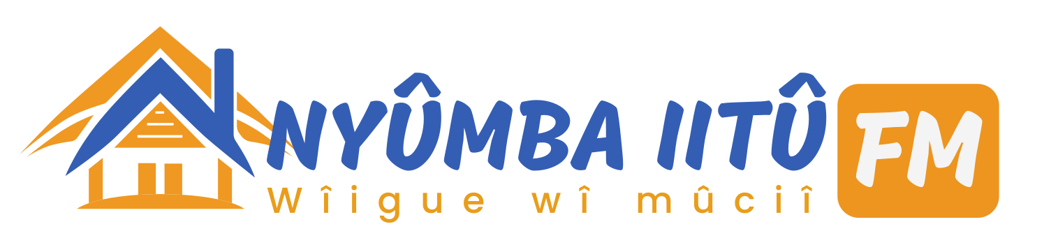 Nyumba iitu FM Logo